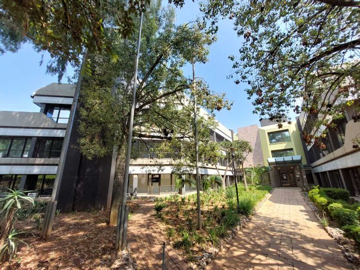 Office to Rent in Bedfordview Central: 614 sqm, open-plan, private offices, kitchen.