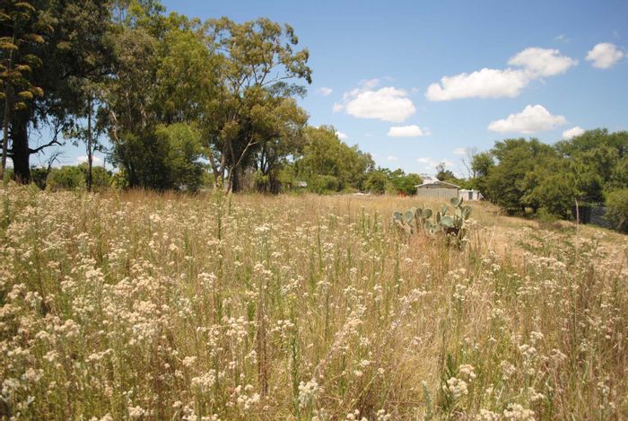 For Sale: 1983 m² Vacant Land Residential in Oranjeville Central, near the dam.