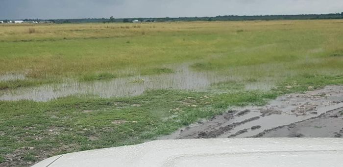 Grootfontein Central Small Holding For Sale: 25ha, boreholes, irrigation, livestock camps.