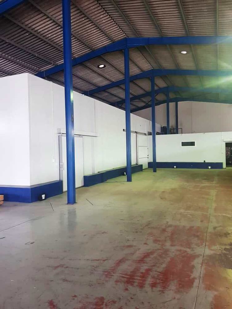 Warehouse space with cold store rooms