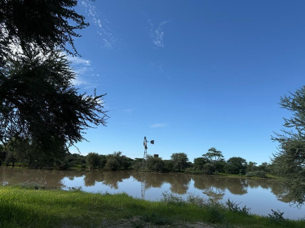 View of the soil dam on the farm