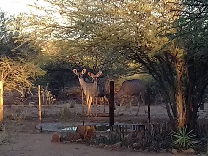 Omaruru guide Property, Estate Agents & News MyProperty Namibia