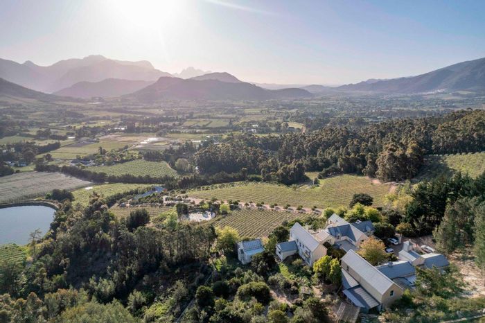 Farm for Sale in Franschhoek Central: Vineyard, winery, luxury homes, and income potential.