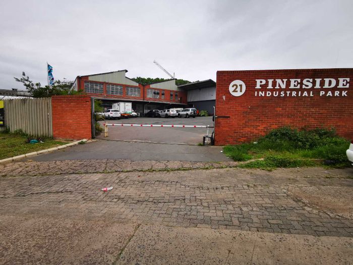 Industrial Warehouse To Rent in Pineside: 100m2, secure access, flexible entry points.