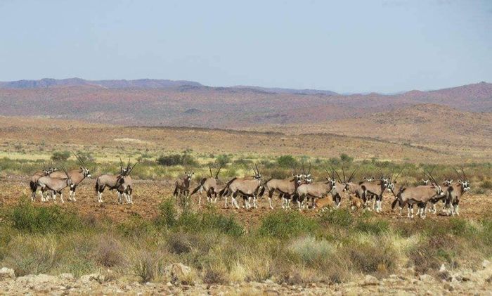 Property #2391550, Game Farm For Sale in Grunau Central