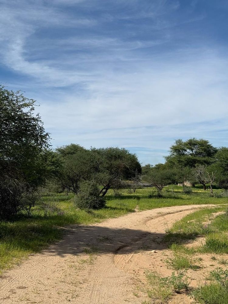 View of the field on the Farm