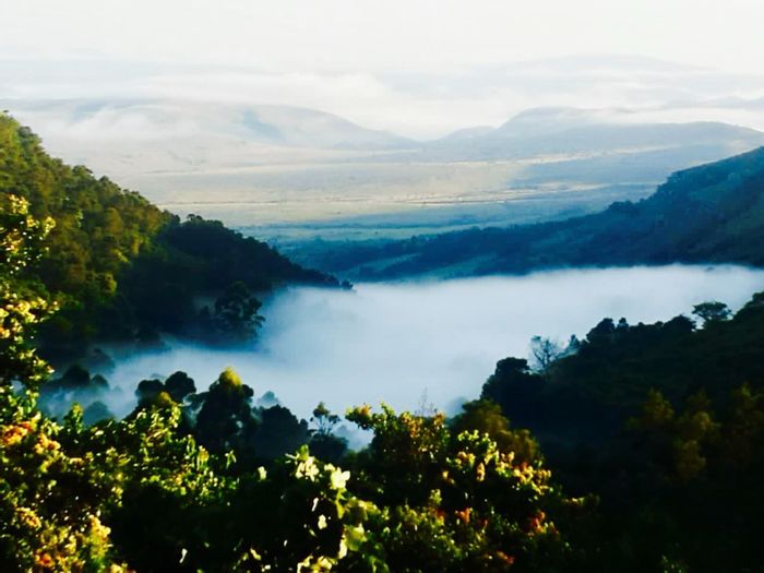 For Sale: 213ha farm in Louwsburg Central with diverse farming amenities and cattle herd.