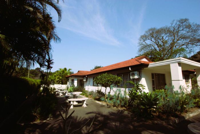 For Sale: House in Woodside with 4 bedrooms, solar power, and security features.