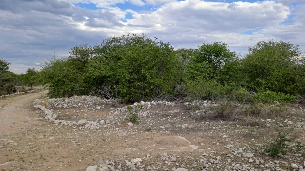 Road from lodge building towards the main gate.