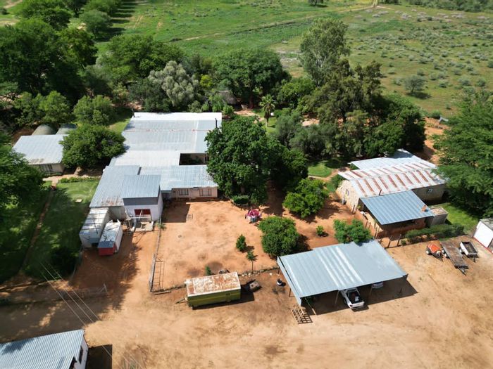 Prime Farm in Grootfontein Central: Game, Feedlot, Maize Fields. For Sale.