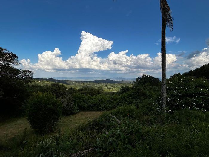 Spacious 3-Bedroom House To Rent in Tzaneen Rural with Security and Flatlet.