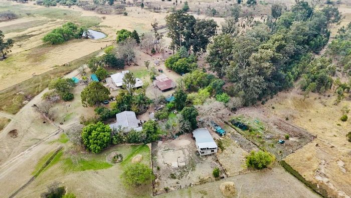 Vryheid Central Farm For Sale: Two houses, abundant water, grazing land, and investment potential.