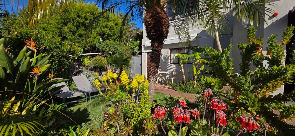 Private garden with two loungers