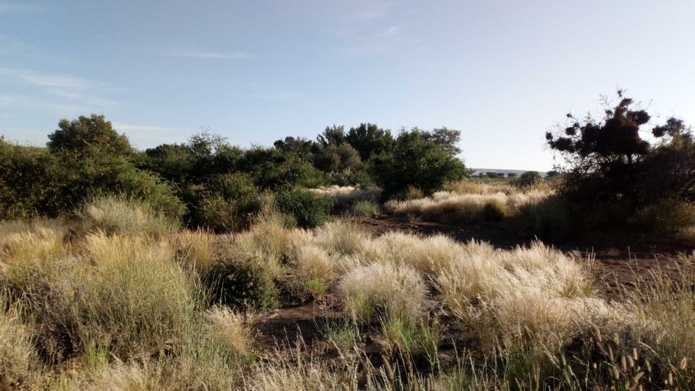 Beautiful grass field and a riverbed