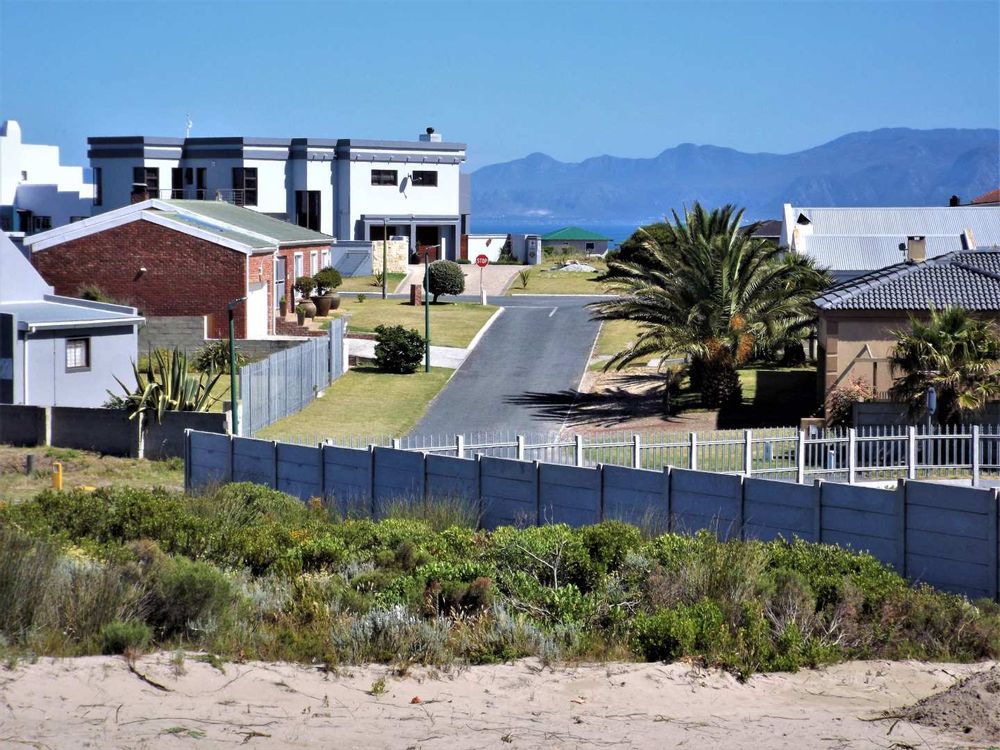 Same as previous photo; now zoomed in a bit.