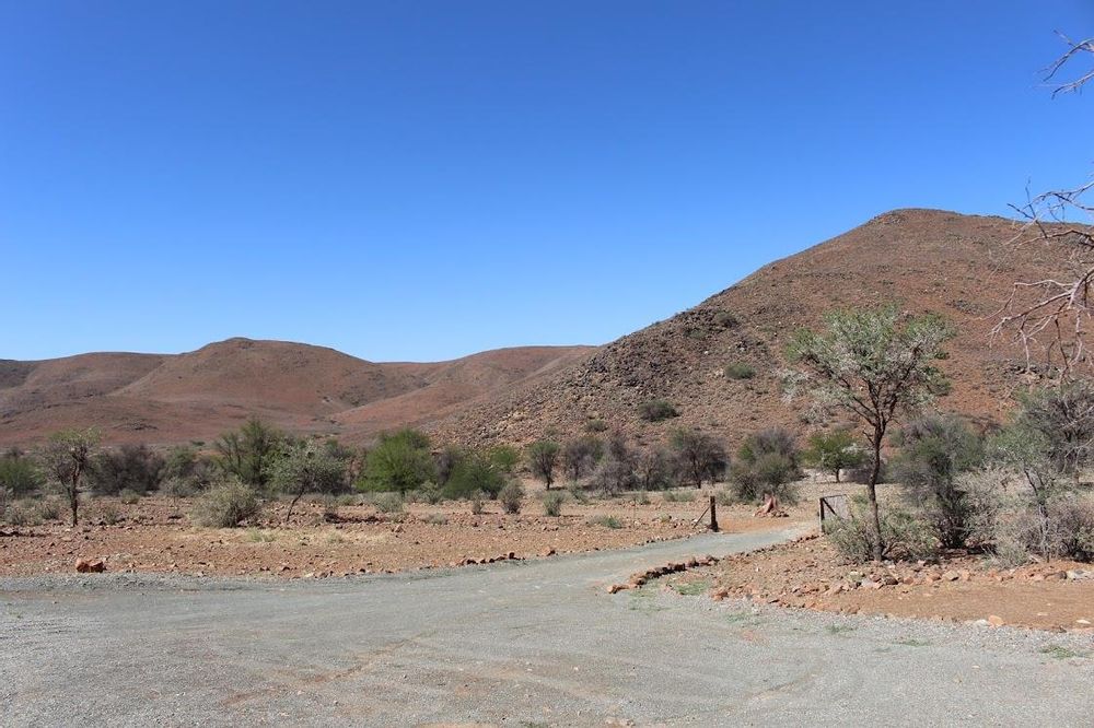 Gravel road and gate