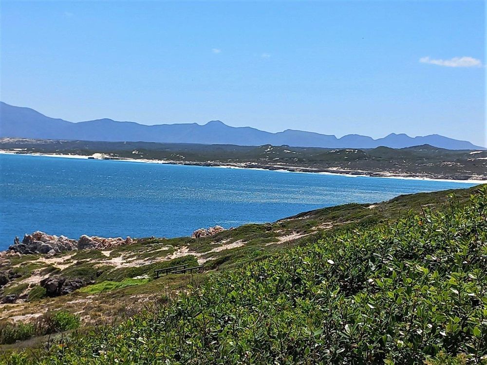 Sea View (from Cliff Street) - in the direction of Die Plaat Nature Reserve.