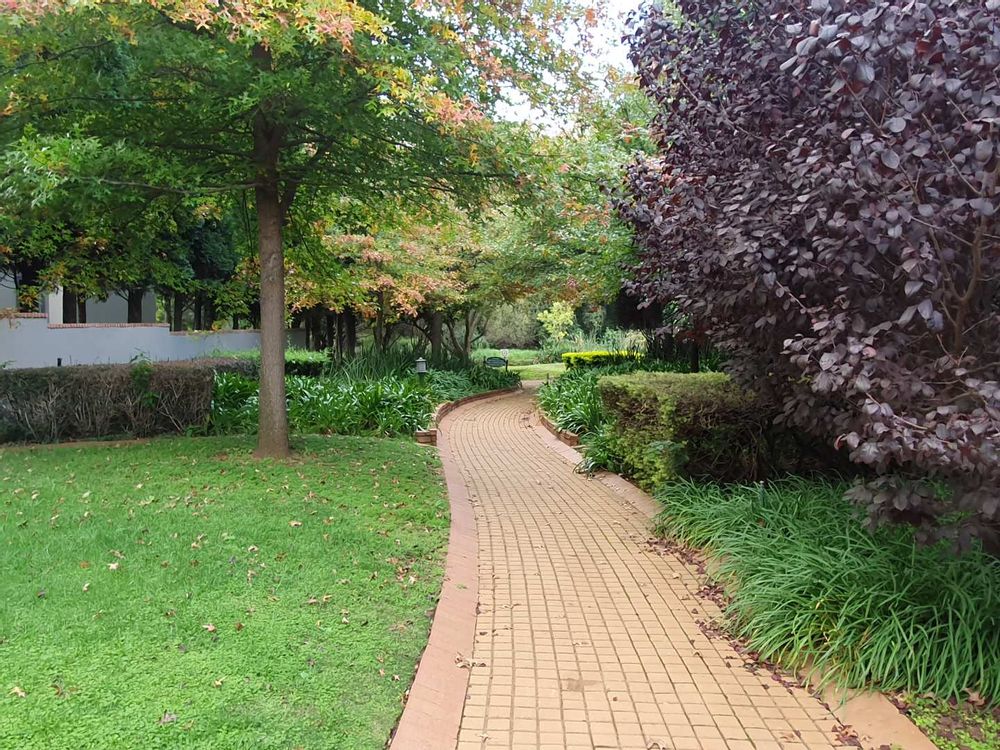 Walkways running through the estate