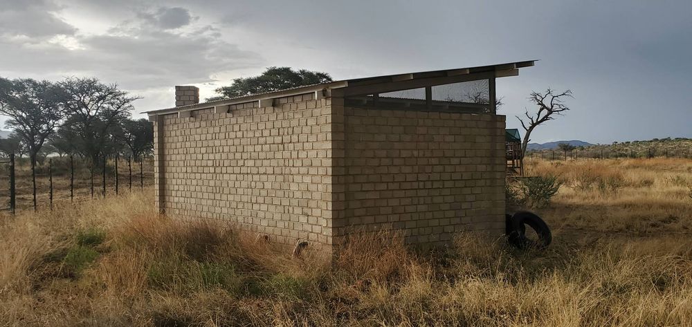 Ablution with donkey