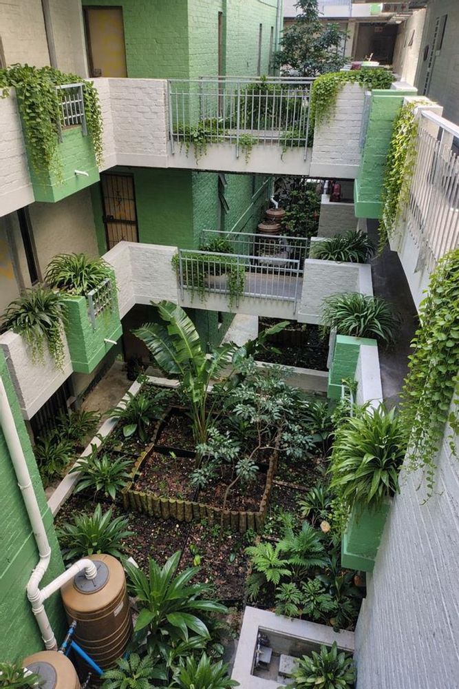 Atrium effect in middle of building 