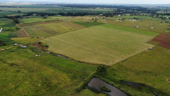 For Sale: 21.57 Hectares Farm in Sherman Park with updated fencing and new pastures.