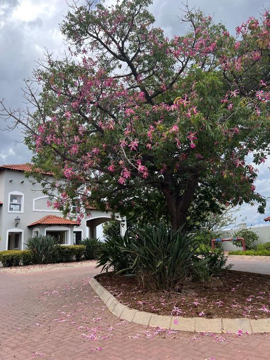 For Sale: House in Brits Central with 3 bedrooms, garage, and outdoor patio.
