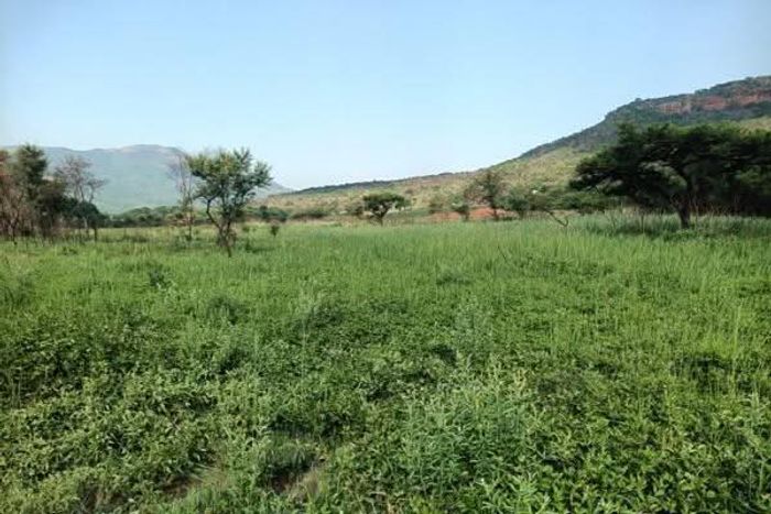 85ha Farm For Sale in Nelspruit Central with water rights and prime building site.