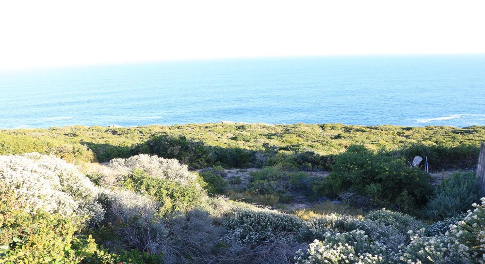 339 Oyster Bay Drive - Vacant Land