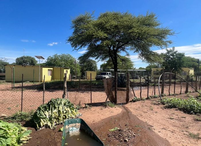 Farm for Sale in Otavi Central: Borehole, solar system, and hydroponic house included.