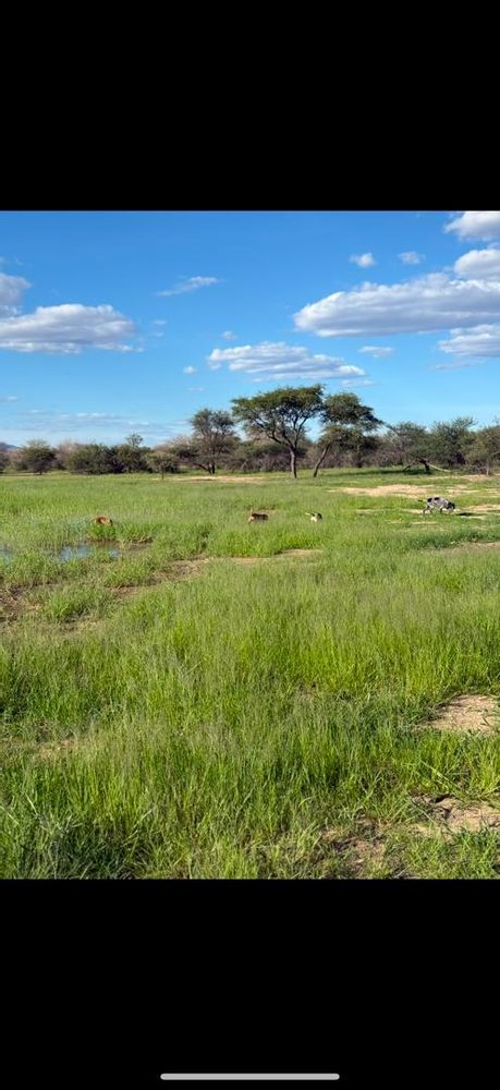 View of the field on the Farm
