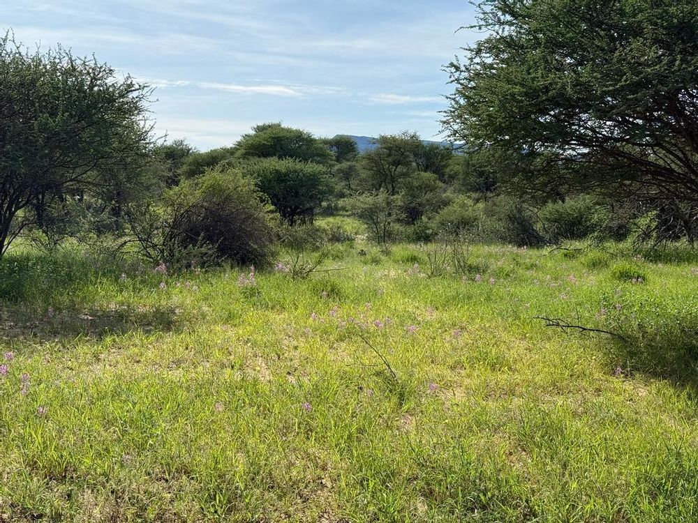 View of the field on the Farm