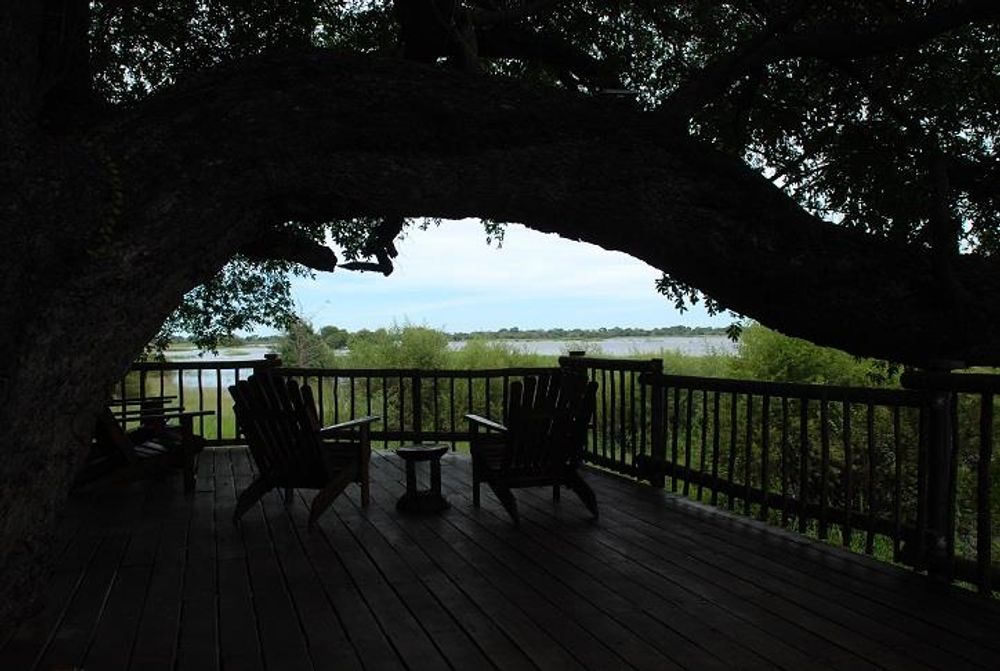 Entertainment Area Looking at Lake Under Large Jackelberry Tree