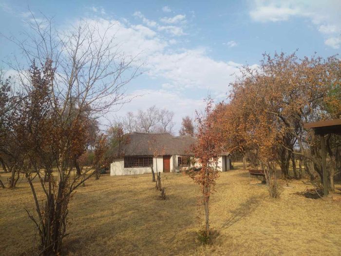 Citrus Farm For Sale in Bultfontein: Orchards, main house, cottage, event hall, pool.