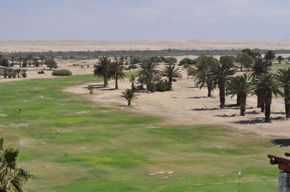 Golf course and palm trees