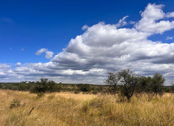 Farm for Sale in Modjadjiskloof Central: 366 hectares, cattle camps, boreholes, homestead.