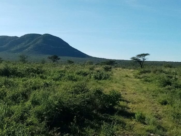 For Sale: Otavi Central Small Holding with borehole, electricity, and gravel road access.