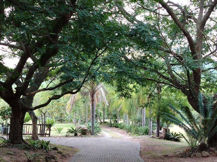 Farm for Sale in Nelspruit Rural: Two homes, pool, jacuzzi, borehole, expansive garden.