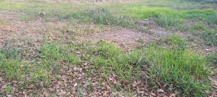 Property #2248855, Vacant Land Residential for sale in Bakerton