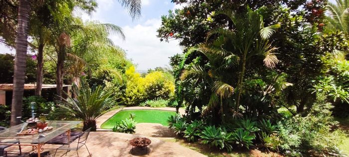 For Sale: Waterkloof Ridge House with 2 homes, pool, and expansive land.