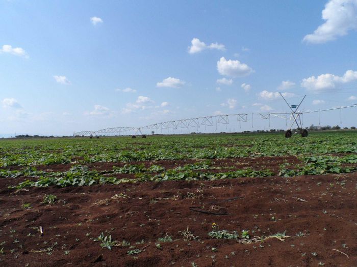 Property #2107985, Farm for sale in Roedtan