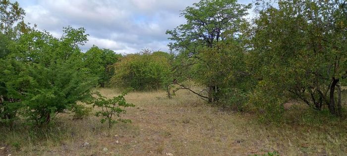 Property #2177118, Vacant Land Agricultural for sale in Musina