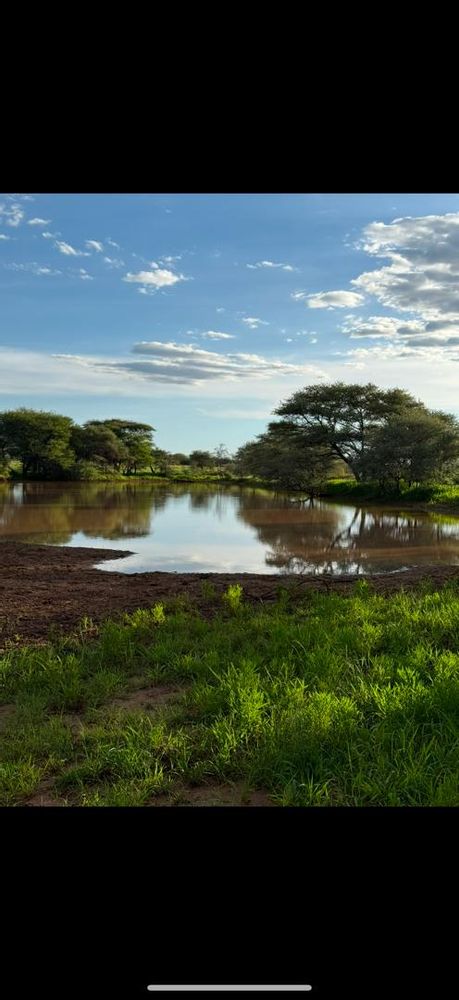 View of the soil dam on the farm