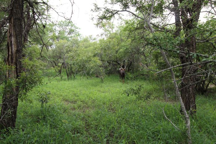 Property #2216466, Vacant Land Residential for sale in Moditlo Nature Reserve