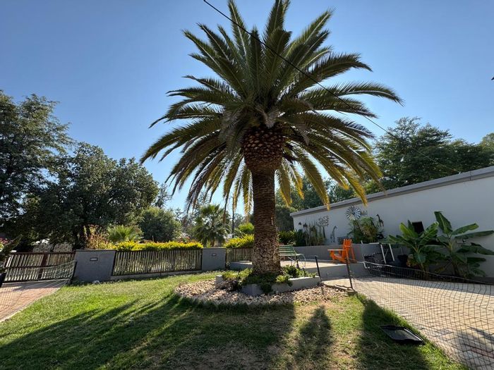 Okahandja Central Guest House For Sale: Multiple homes, flatlets, and entertainment areas.