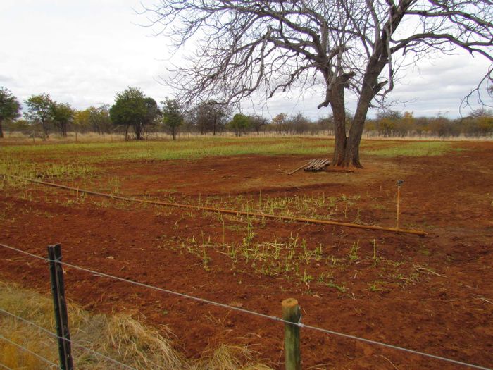 Property #2215889, Small Holding for sale in Musina