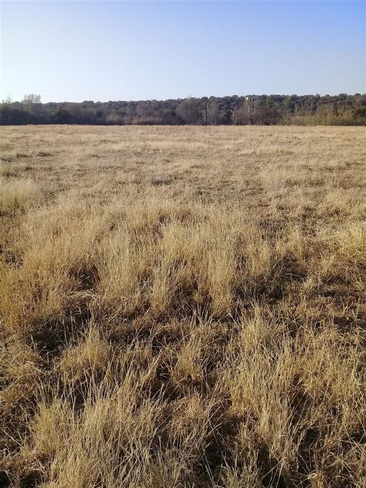 Property #1899234, Farm for sale in Koster