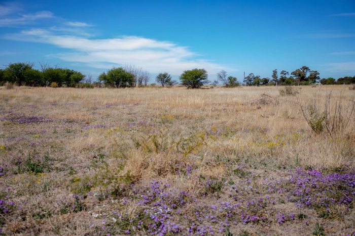 Vacant Agricultural Land for Sale in Koppies Central with Dam View and Grazing Potential.