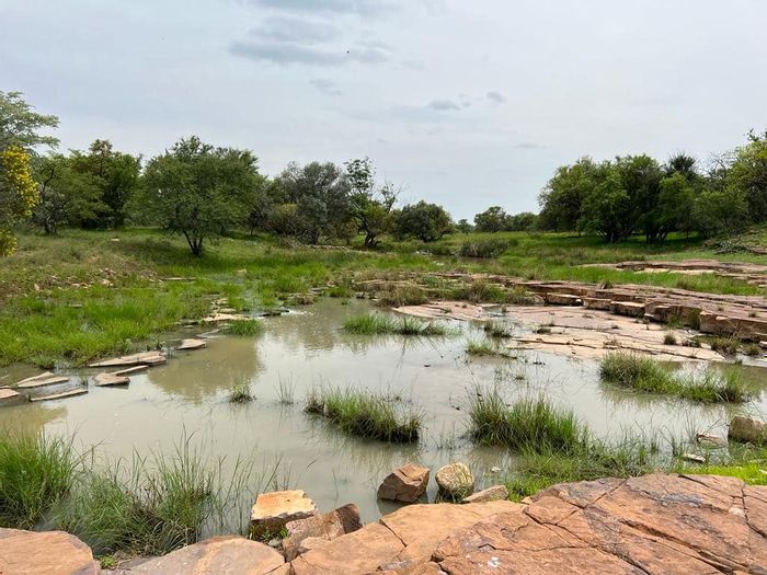 Property #2195879, Farm for sale in Vaalwater