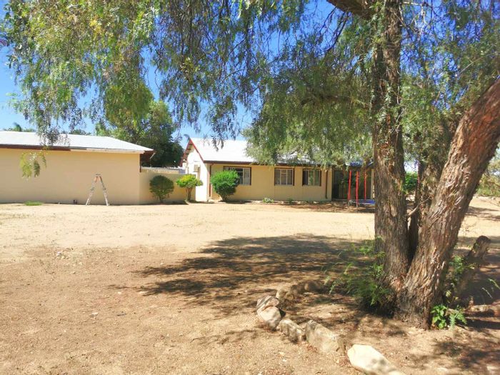 Olympia properties for sale