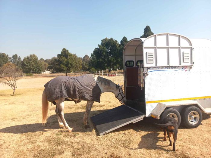 Kloofsig Farm for Sale: Equestrian Facilities, Modern Home, Prime Location Near Groenkloof Reserve